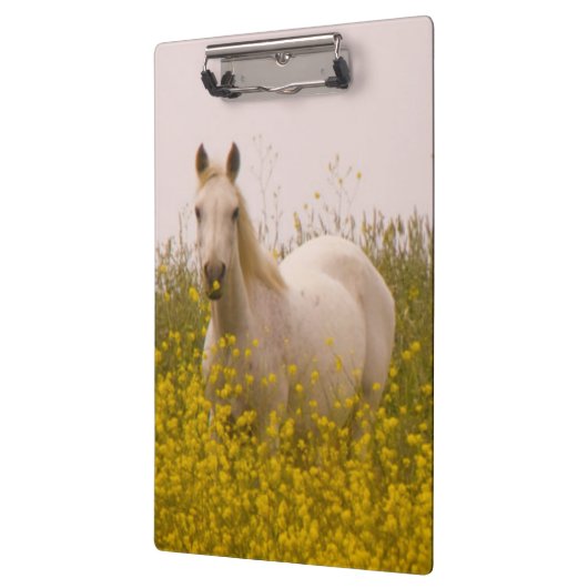 lente klembord (Links)