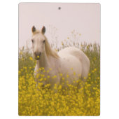 lente klembord (Achterkant)