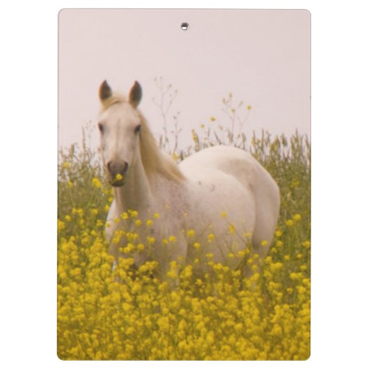 lente klembord (Achterkant)