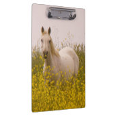 lente klembord (Rechts)