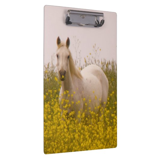 lente klembord (Rechts)