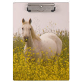 lente klembord (Voorkant)