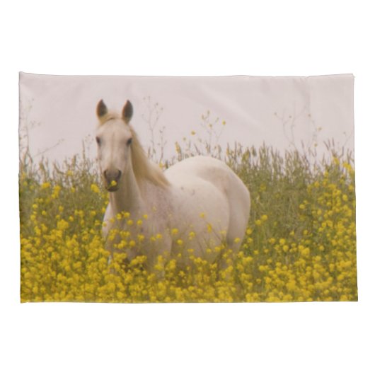 lente kussensloop (Achterkant-Rechts)