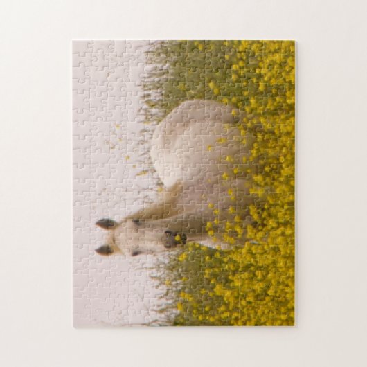 lente legpuzzel (Verticaal)