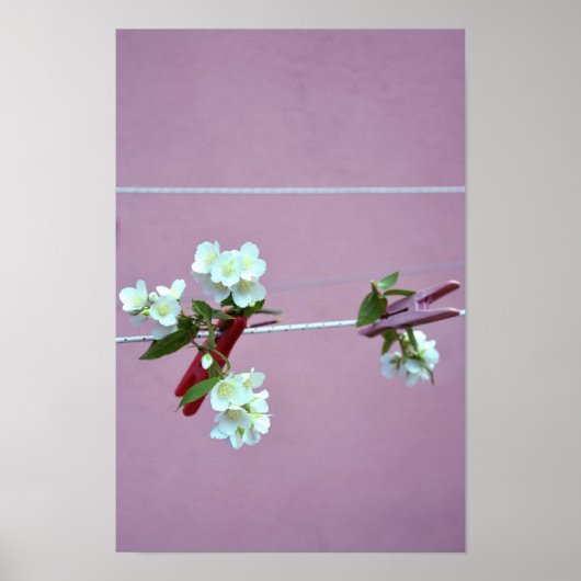 Lente lijn poster (Voorkant)