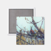 lente magneet (Voorkant / Achterkant)
