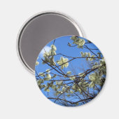 lente magneet (Voorkant / Achterkant)