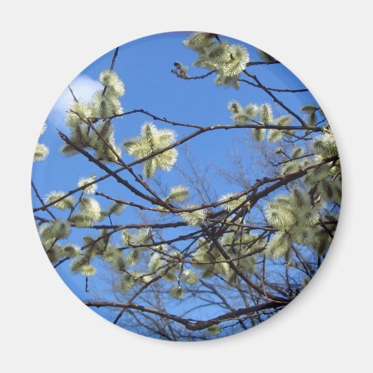 lente magneet (Voorkant)