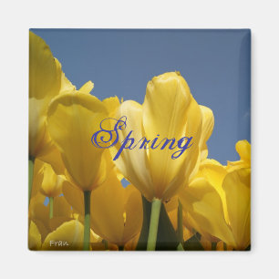 lente magneet
