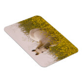 lente magneet (Rechterzijde)