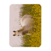 lente magneet (Verticaal)