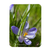 lente magneet (Verticaal)