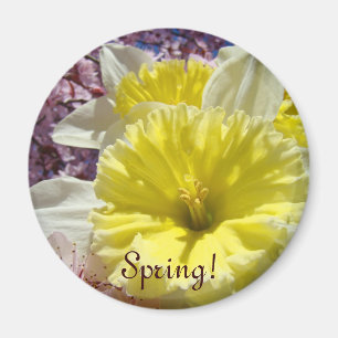 Lente! magneet cadeaus Helder gekleurde narcis blo