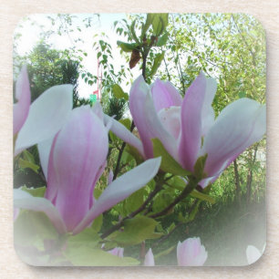 Lente Magnolia Bloemen Drankjes Onderzetter