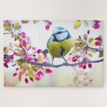Lente Mees Vogel Lente Blauw Natuur Tak