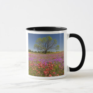 Lente mesquitebomen die groeien in wilde bloemen, mok