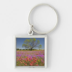 Lente mesquitebomen die groeien in wilde bloemen, sleutelhanger