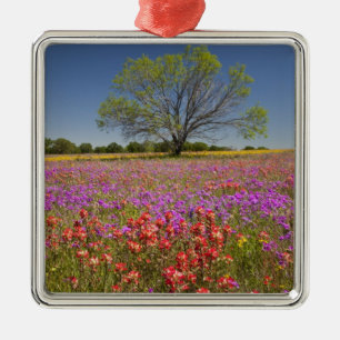 Lente mesquitebomen die in wilde bloemen groeien, metalen ornament