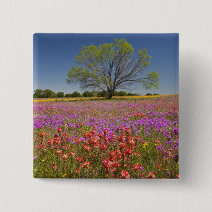 Lente mesquitebomen die in wilde bloemen groeien, vierkante button 5,1 cm