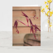 Lente met wenskaart met maapels kaart (Gele Bloem)