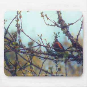 lente muismat