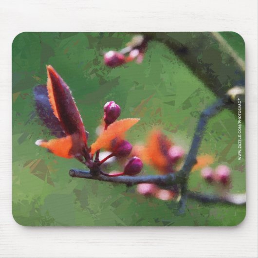 Lente Muismat (Voorkant)