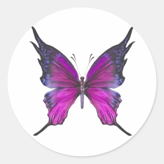 Lente myst 3 ronde sticker (Voorkant)