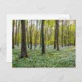 Lente naar leven briefkaart (Voorkant / Achterkant)