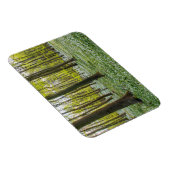 Lente naar leven magneet (Rechterzijde)