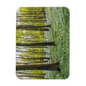 Lente naar leven magneet (Verticaal)