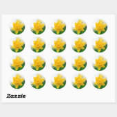 Lente narcis ronde sticker (Vel)