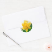 Lente narcis ronde sticker (Envelop)