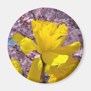 Lente Narcissen Magneet cadeaus Roze Bloesem