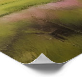 Lente natuur landschap poster (Hoek)