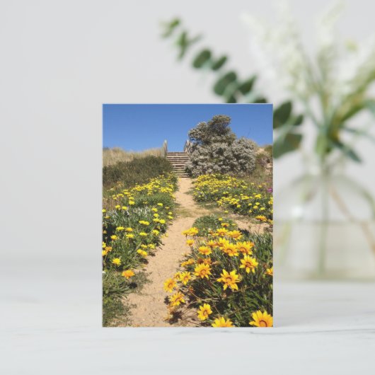 Lente negentig mijl strand, Australië Briefkaart (Staand voorkant)