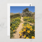 Lente negentig mijl strand, Australië Briefkaart (Voorkant / Achterkant)