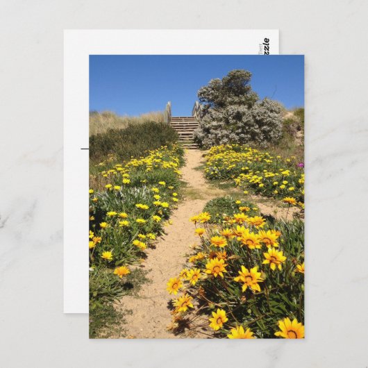 Lente negentig mijl strand, Australië Briefkaart (Voorkant / Achterkant)