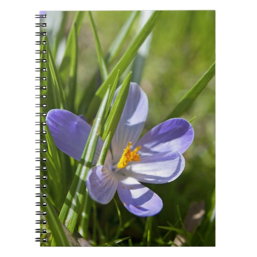 Lente Notitieboek (Voorkant)