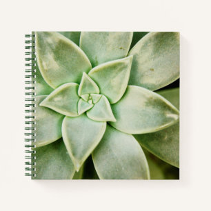 Lente Notitieboek