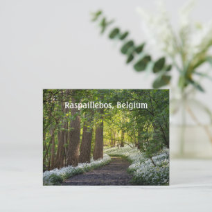 Lente Ochtend in Raspaillebos, België Briefkaart