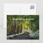 Lente Ochtend in Raspaillebos, België Briefkaart (Voorkant / Achterkant)