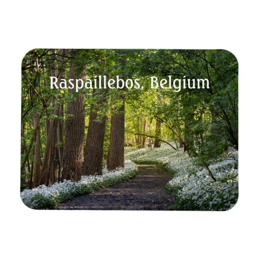 Lente Ochtend in Raspaillebos, België Magneet (Horizontaal)