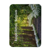 Lente Ochtend in Raspaillebos, België Magneet (Verticaal)