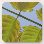 Lente Onderzetters (Voorkant)