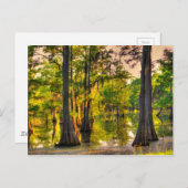 Lente op de Bayou Briefkaart (Voorkant / Achterkant)