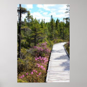 Lente op de Bog Walk Poster (Voorkant)