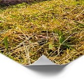 Lente op de Herfst Poster (Hoek)