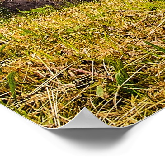 Lente op de Herfst Poster (Hoek)