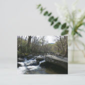 Lente op de kleine duivenrivier briefkaart (Staand voorkant)