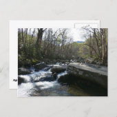 Lente op de kleine duivenrivier briefkaart (Voorkant / Achterkant)